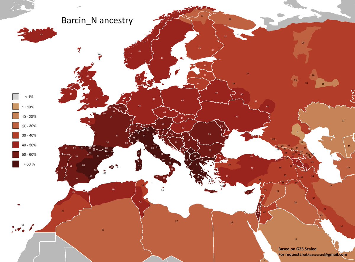 Turcomania tweet media