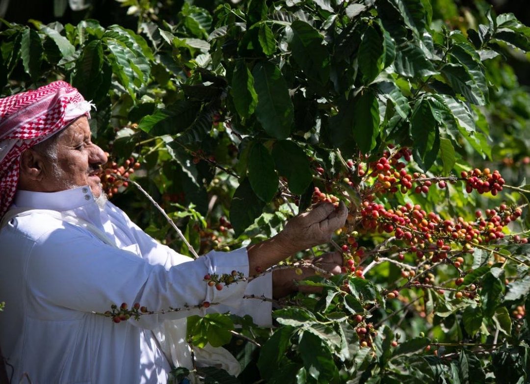 تركي الزيلعي🦷 tweet media