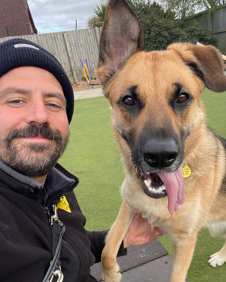 DT_Leeds's tweet image. Mara is smashing #TongueOutTuesday today! 😝😝

This beautiful #GermanShepherd is 2yrs old and looking for adult adopters who want to put in some good training with her. 💪

Meet her 👉 bit.ly/40vv0MZ

#RescueDog #AdoptDontShop #Leeds @DogsTrust