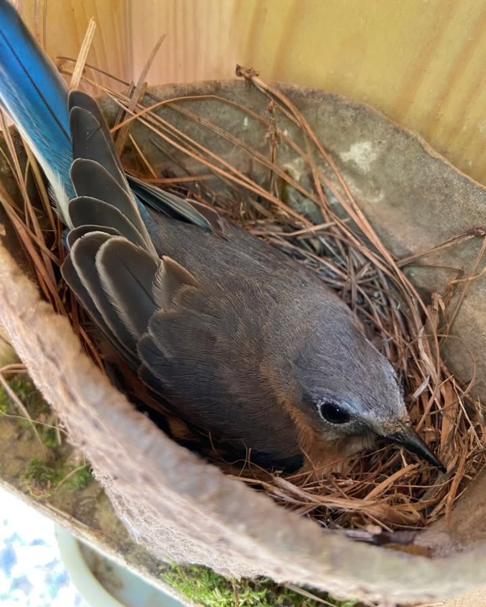 Wake County Parks tweet media