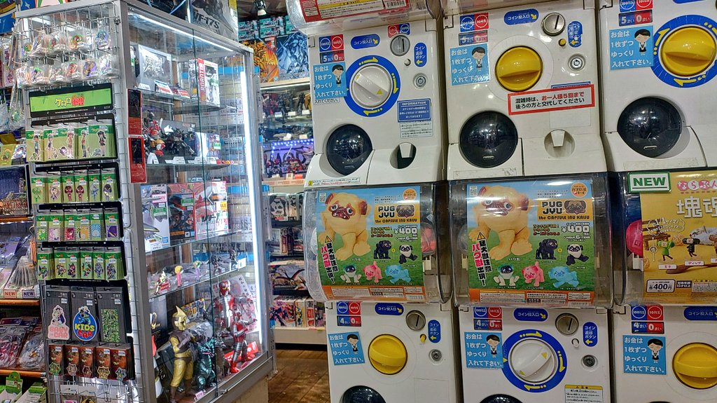 閉店間際にｿｿｸｻﾄ、、 また改めてお邪魔致します🙇 2台パグ獣❣️ 夜
