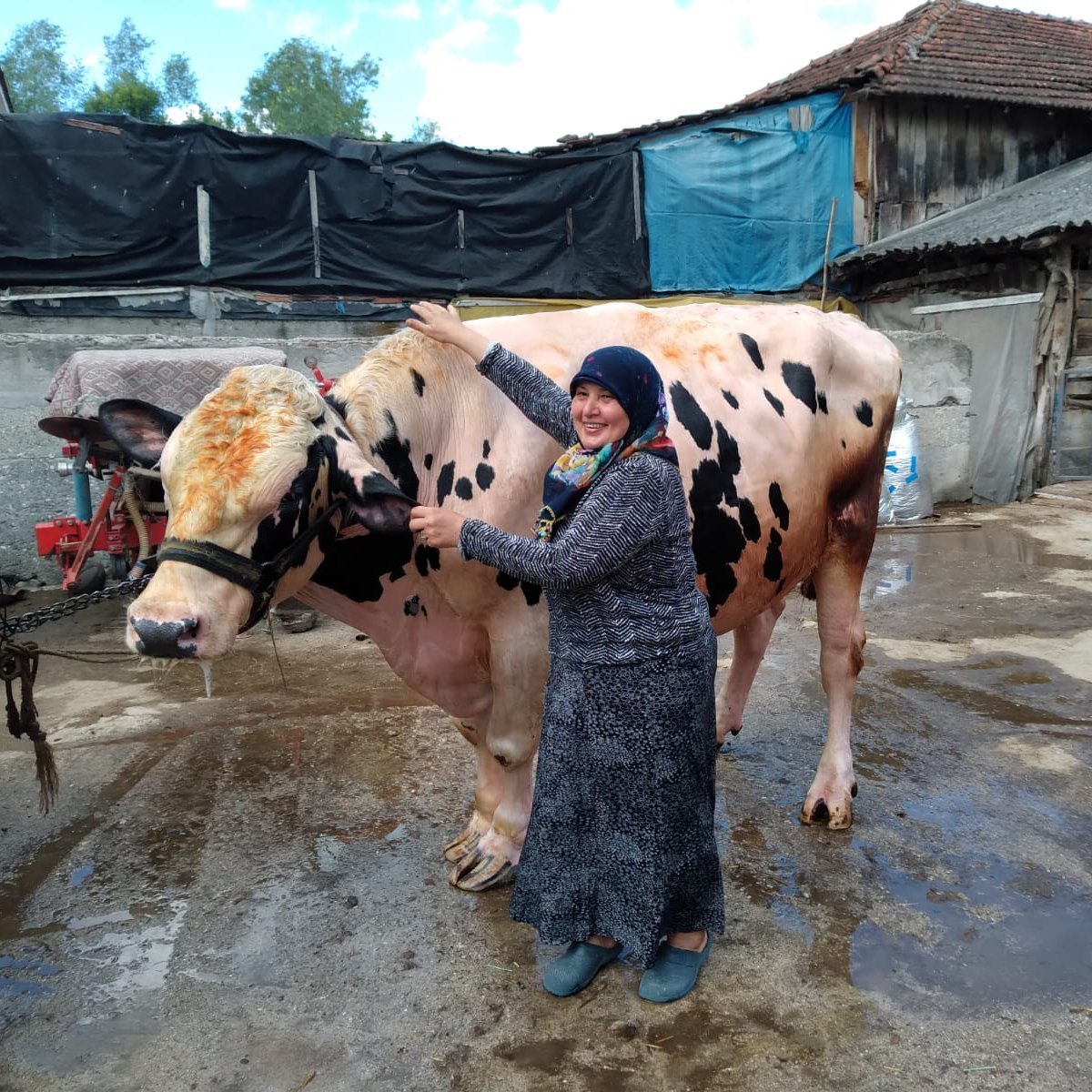 Boşuna Tıklama tweet media