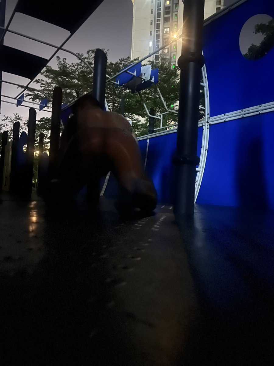 小柯基 tweet media