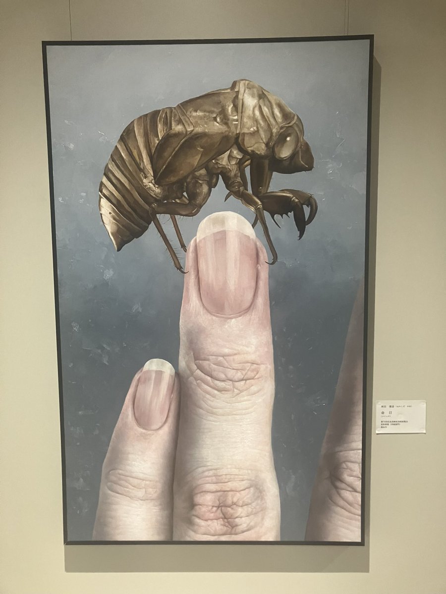 大倉さとし　長崎県議会議員　無所属 tweet media