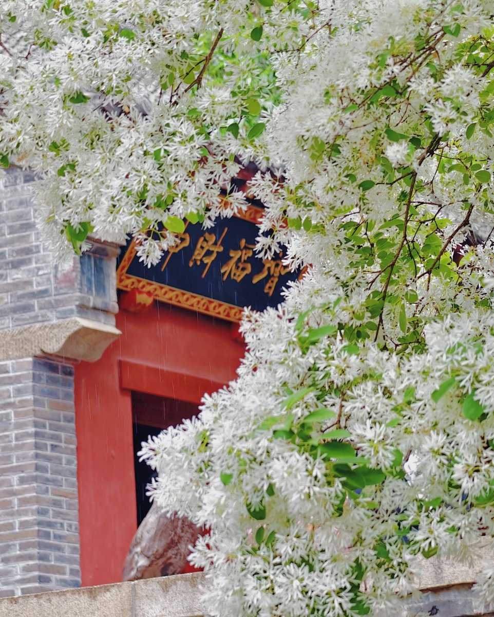 迷迷瞪瞪（互fo互赞）🌺🌺 tweet media