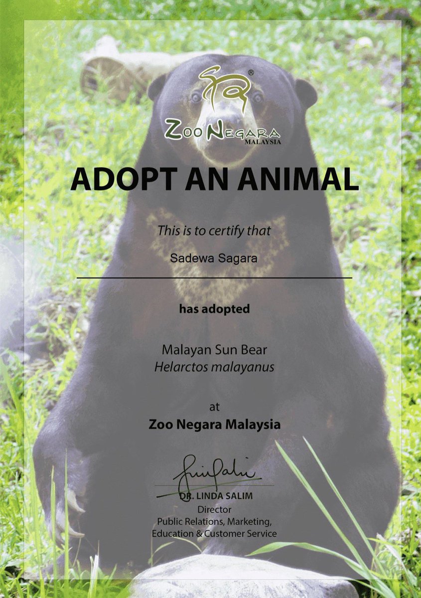 Marlene. 🐆【KIPPP】 tweet media