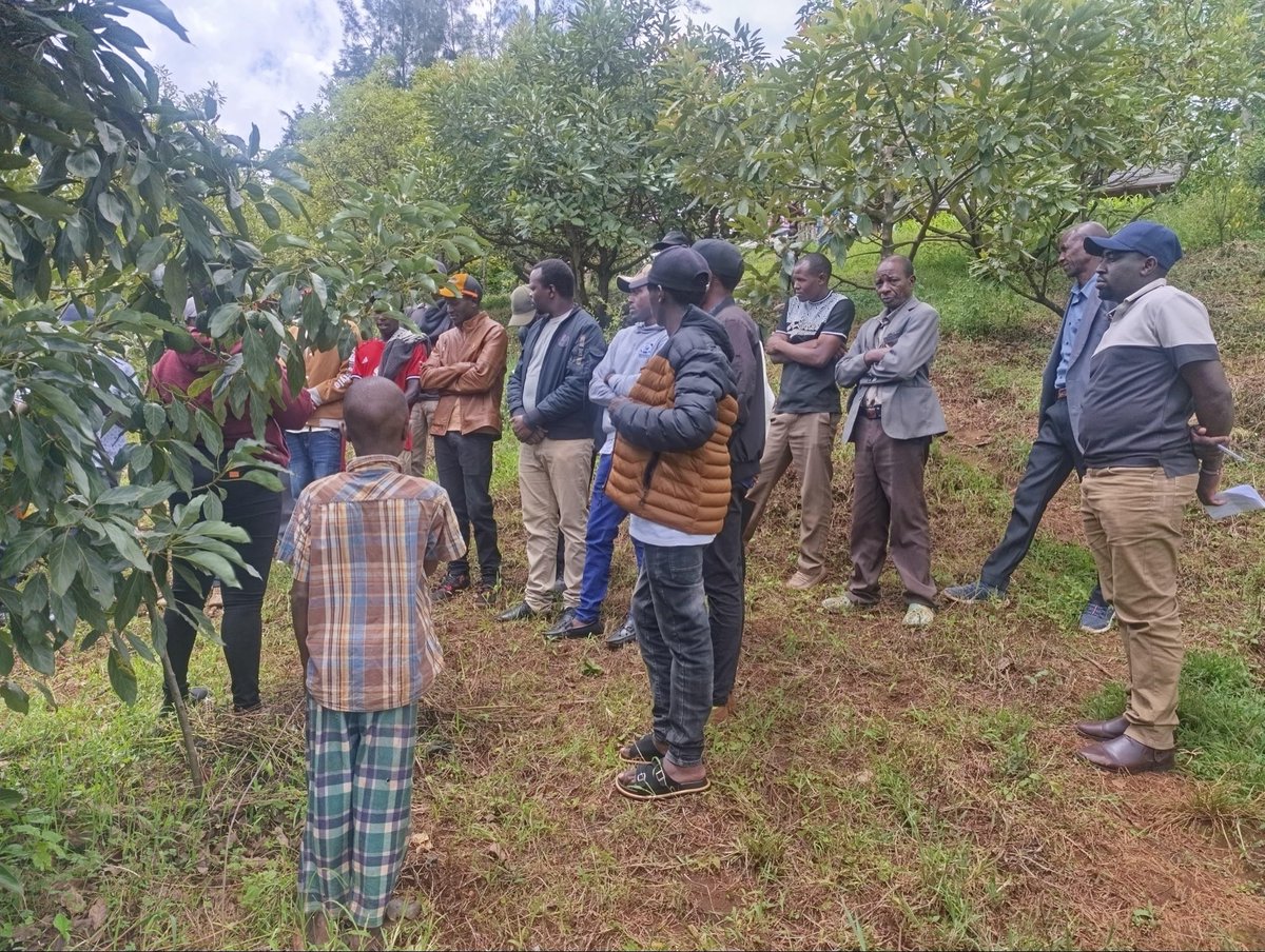 KTDA Foundation tweet media