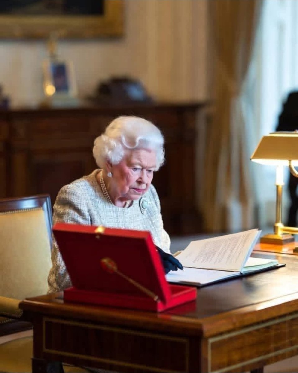 Lee Chapman 🇬🇧 tweet media