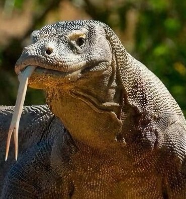 김재돌 tweet media