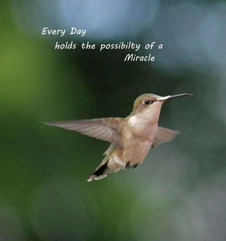 Zenm001's tweet image. 