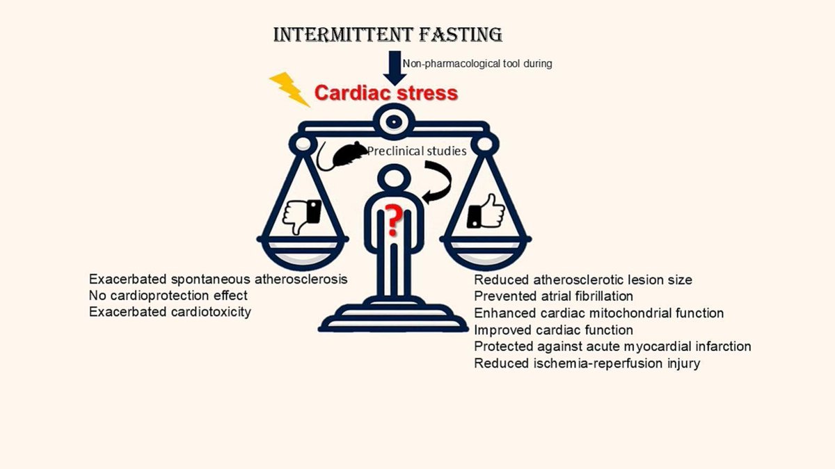 agingdoc1's tweet photo. Intermittent fasting and cardiometabolic responses under cardiac stress: a systematic review of preclinical studies

"Cardioprotective benefits were dependent on fasting duration and regimen, emphasizing the importance of metabolic context."

["IF improves cardiovascular outcomes in ∼80% of stressed preclinical models."]

https://t.co/hh6SB8R7N8