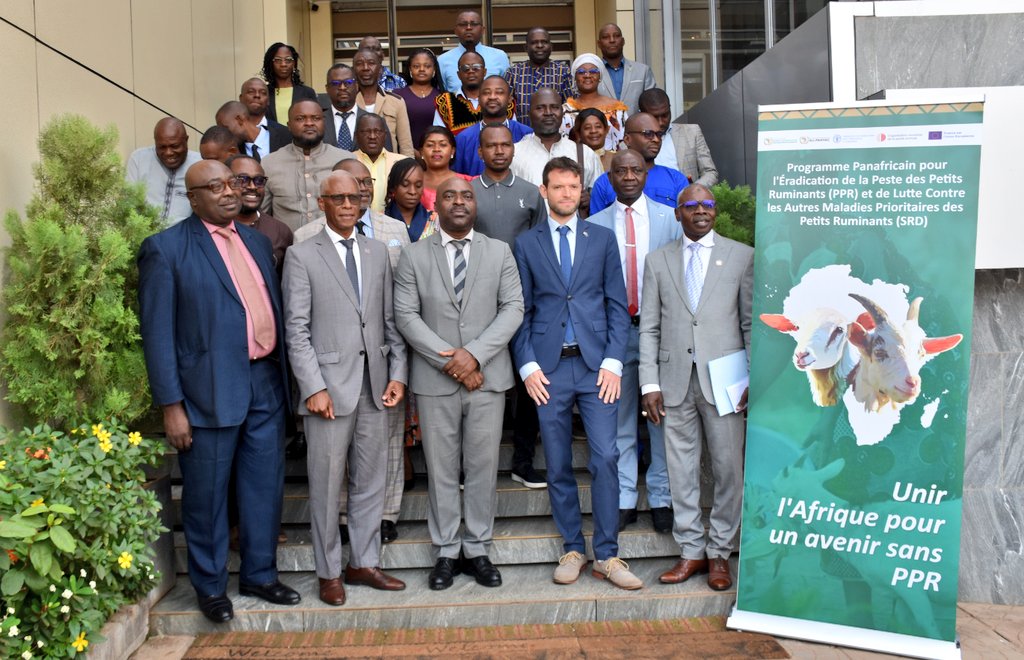 FAO Cameroun tweet media