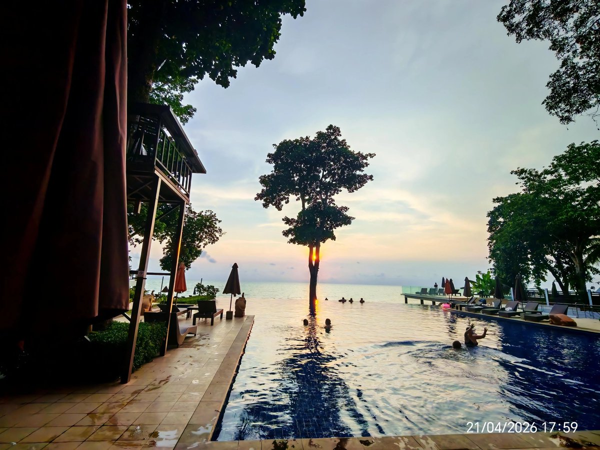 TrueAlphaWolf 🐺 tweet media