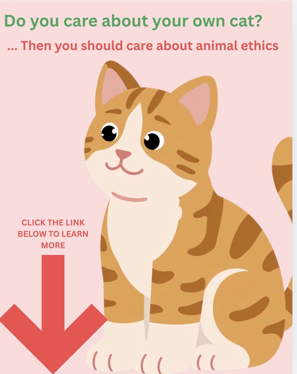 stellamaue13's tweet image. peta.org/issues/animals…

#animaltesting #change #movement #cats #catlovers