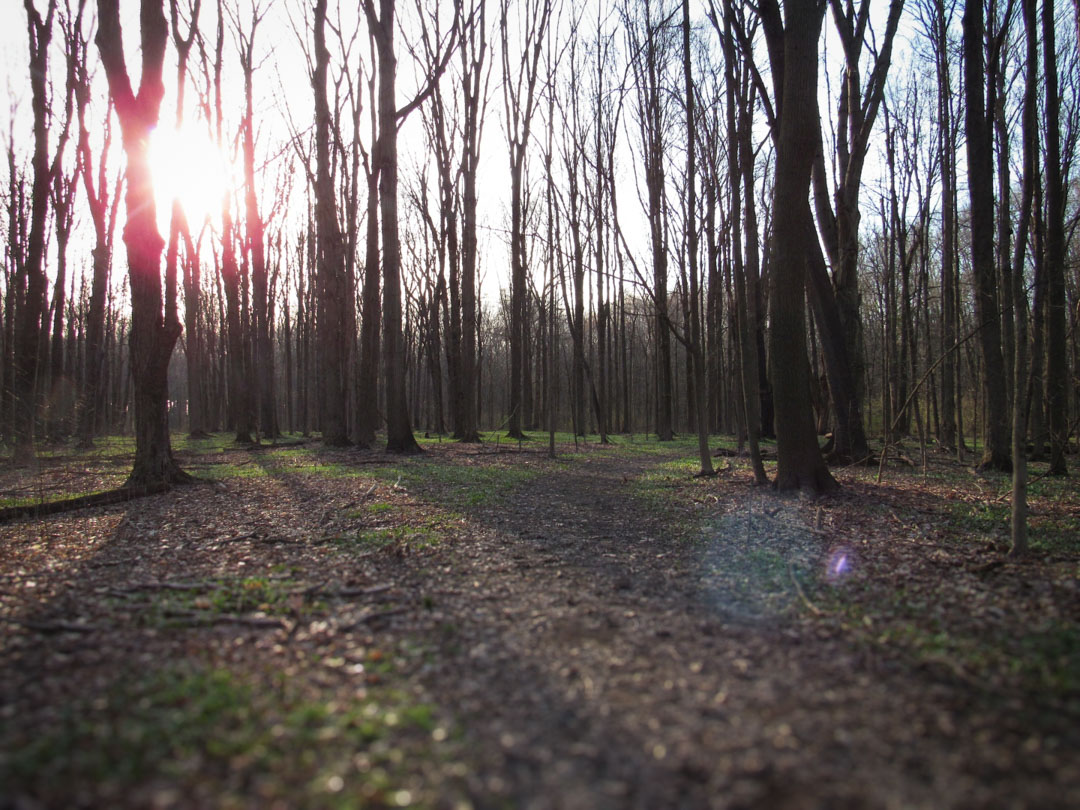 LilyThorn_'s tweet photo. Somewhere along the path.
4/4/2026
#woodsign #earthmark #trailtuesday https://t.co/uDMCp515fu