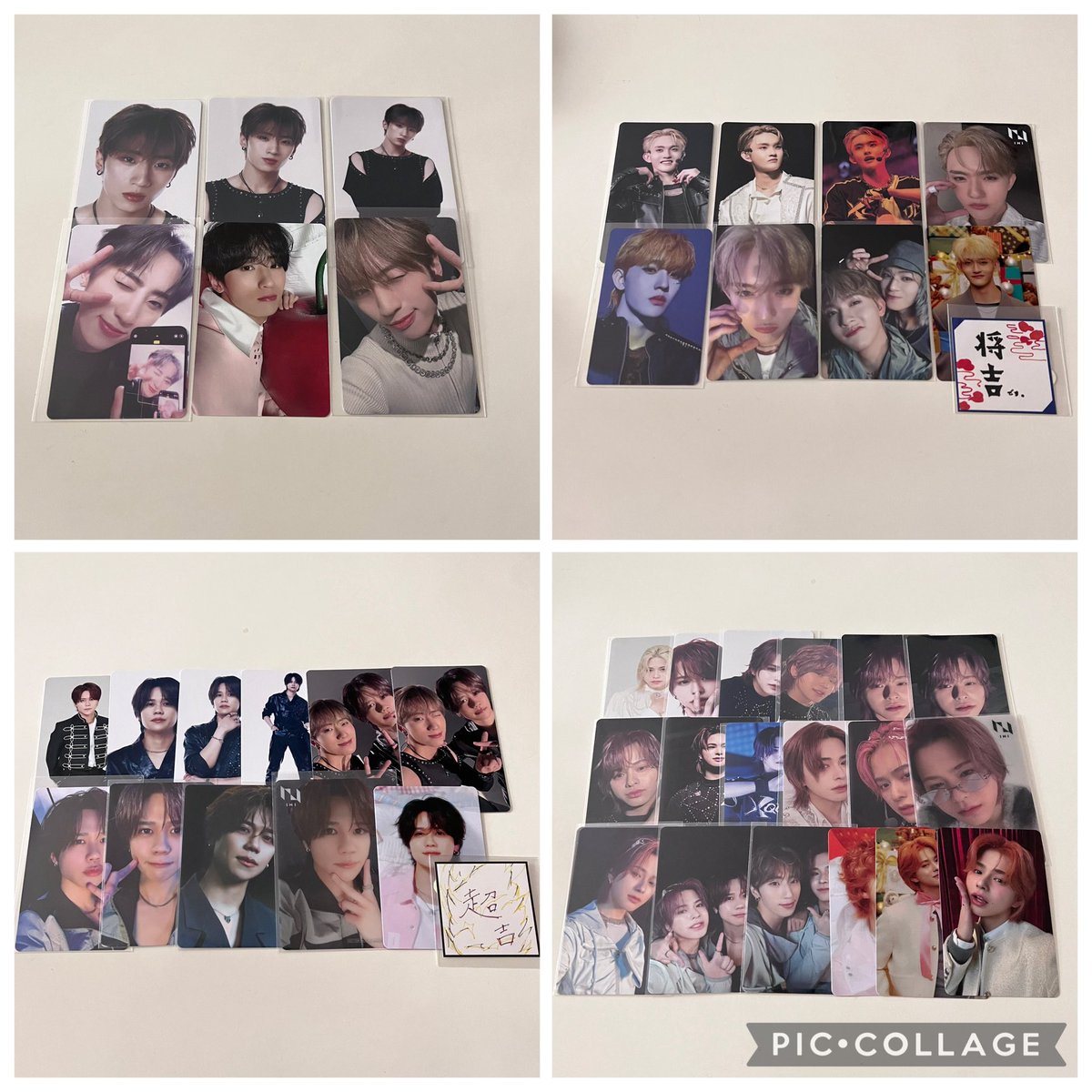 🐶🐾 tweet media