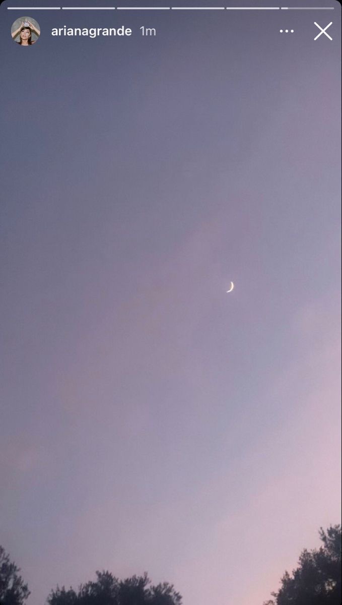 lola 🪷🫧 ꕤ tweet media