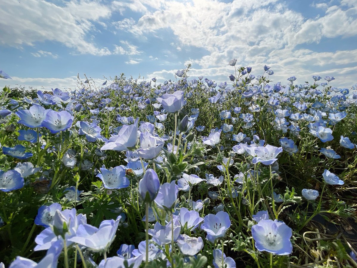 じょん tweet media