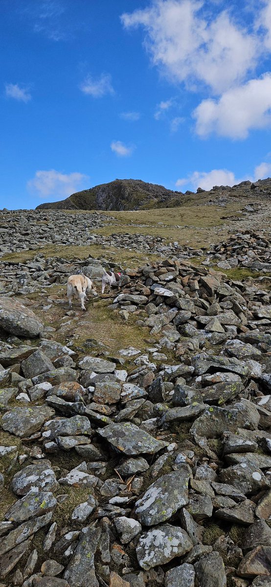 ktulu_r's tweet image. 20 min do summitu #Wales #hiking