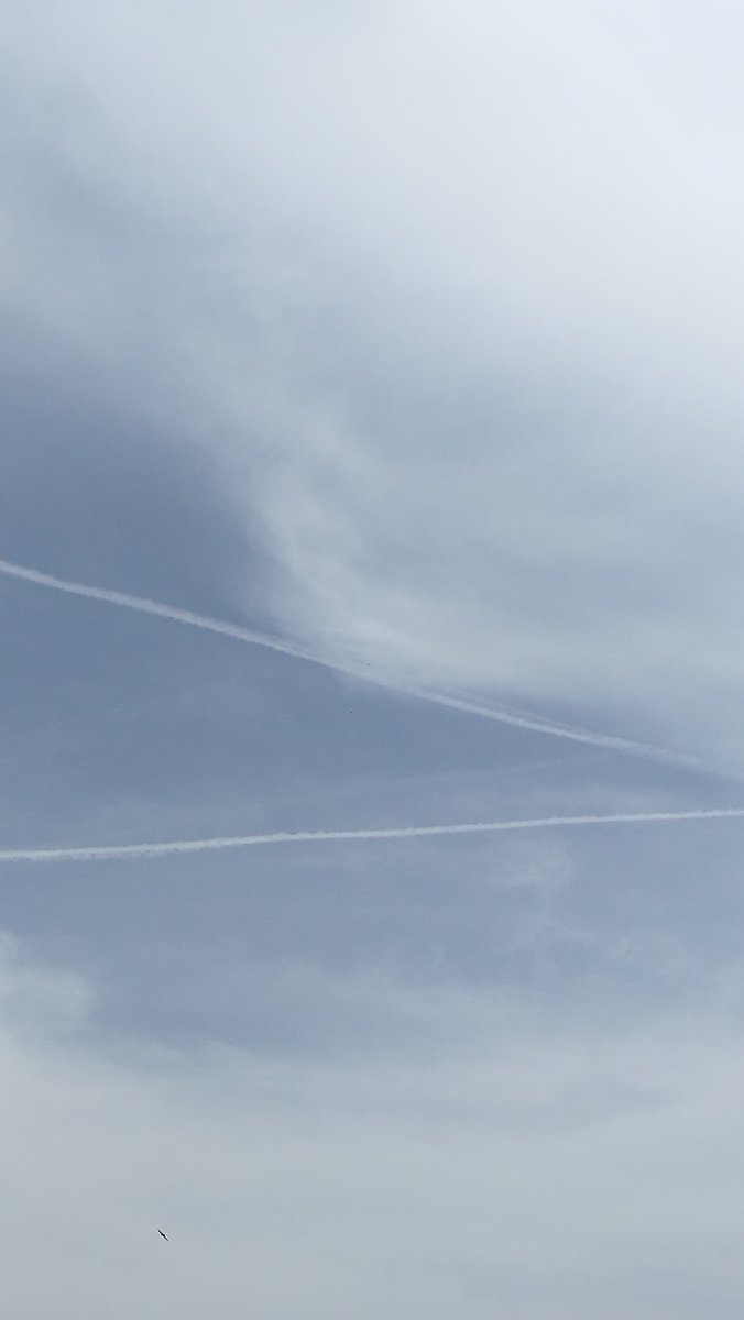 Construyendo un cielo totalmente blanco. Una capa que atrapará el calor, y nos entregará el brillo, a la vez que nos niega los rayos del Sol. 
Observar por la ventana en un par de horas, todo será una capa blanca y brillante.

Madrid 21.04.2026 11:30/14:30