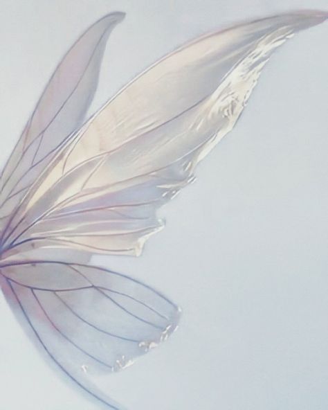 Popwara-💙 tweet media