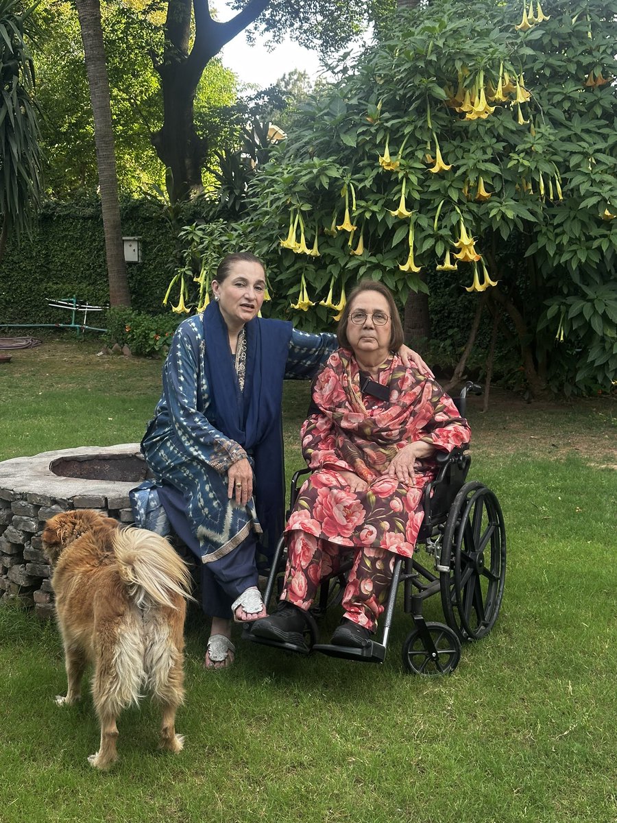 Mehnaz Akber Aziz tweet media