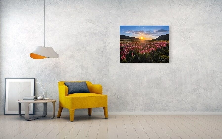erinmdorffette's tweet image. A roadside stop on a #roadtrip through #Wyoming to capture this beautiful sunbathed #wildflower field.

#artforsale #artoftheday #buyintoart #yourbestwork #artforyourwall #wallart #fineart #wildflowerfield #wildflowers #goldenhour #sunset #yellowstone #jackson #flowerphotography