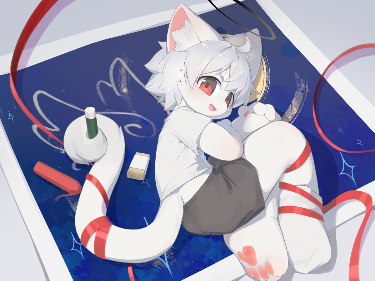 羊绒 tweet media
