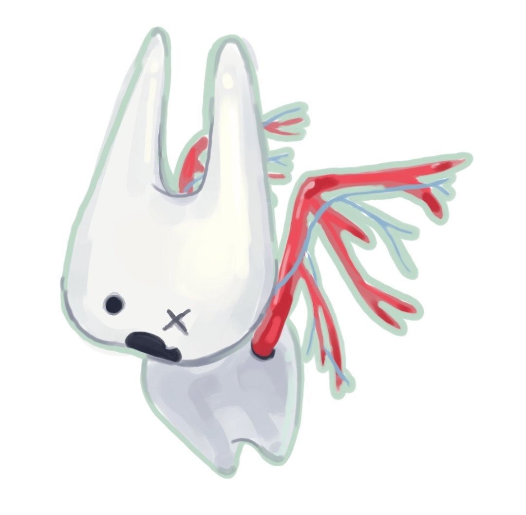 molamola tweet media