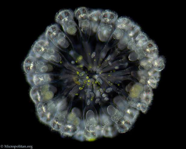 🍂pracklyy⚓ tweet media