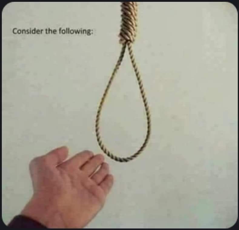 MedicOpossum tweet media