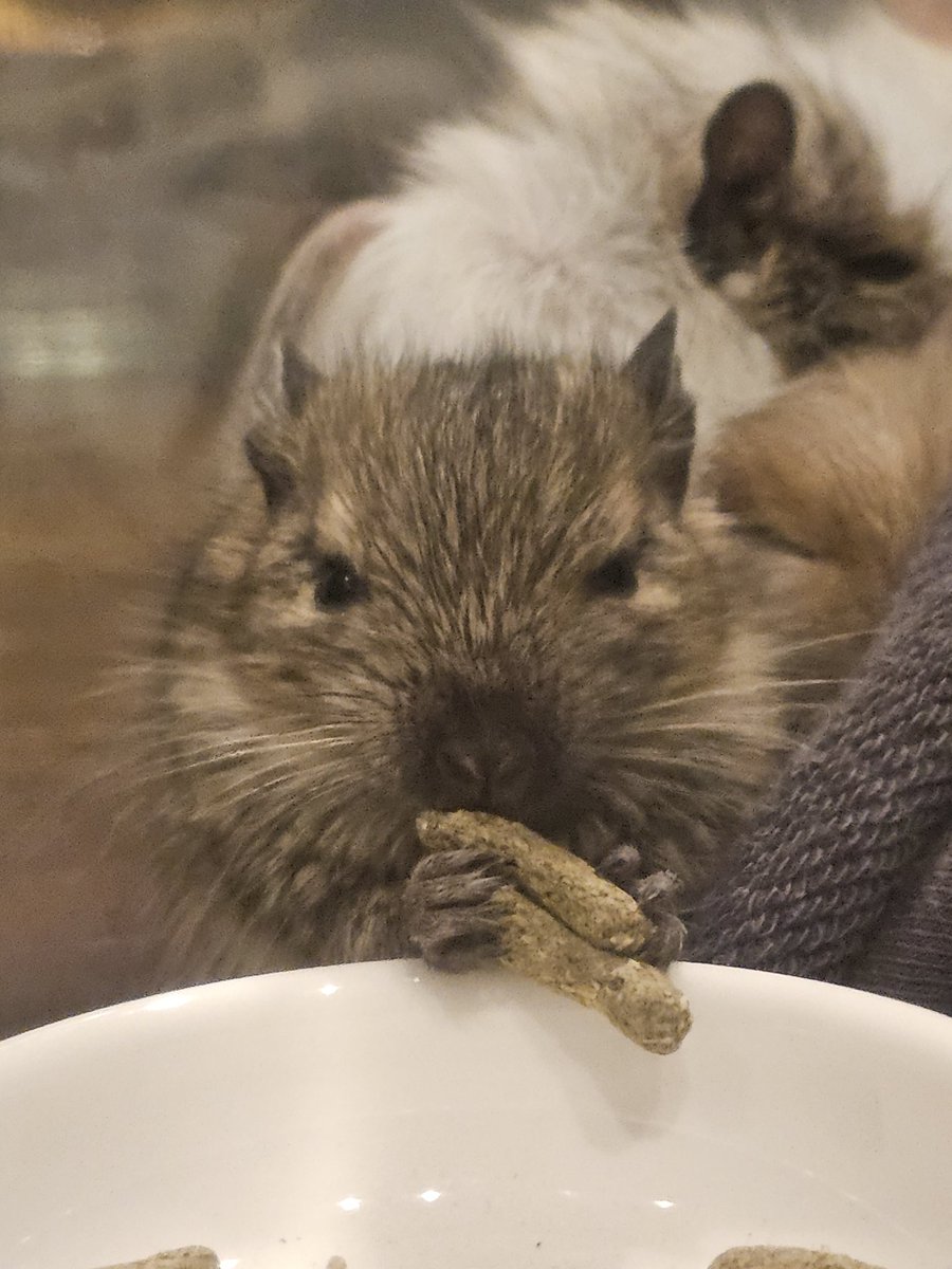 ｌｕｎａ tweet media