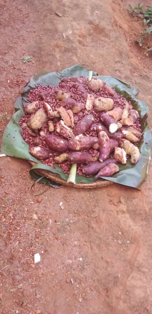 N_SmartFarmer's tweet image. Modern farming focuses on supplying quality produce on the market, but subsistence or traditional farming focuses on feeding household 😋 

#SmartFarmer #FarmForMarket #FarmToTable