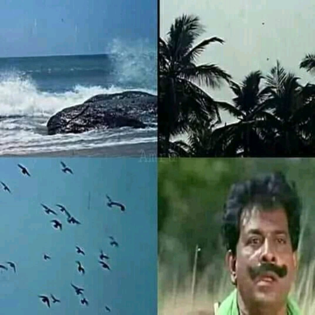 Mr. Dark tweet media