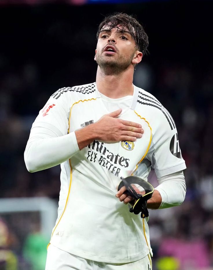 Madrid Zone tweet media