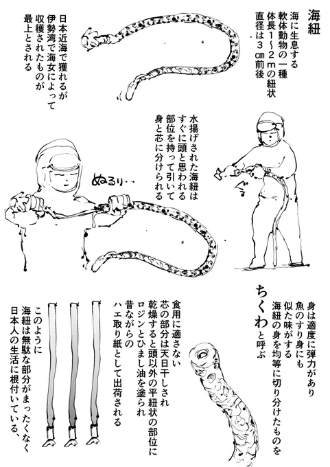 うみひも 