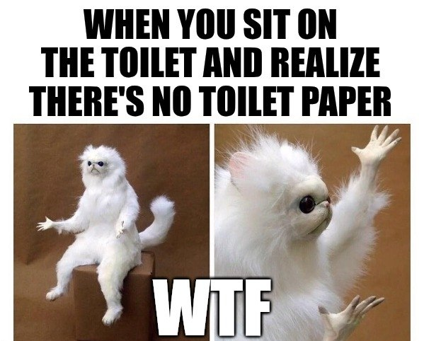 Monkey Cat $WTF tweet media