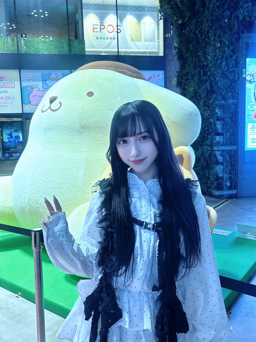 大御所いらっしゃいました🍮 #ポムポムプリン