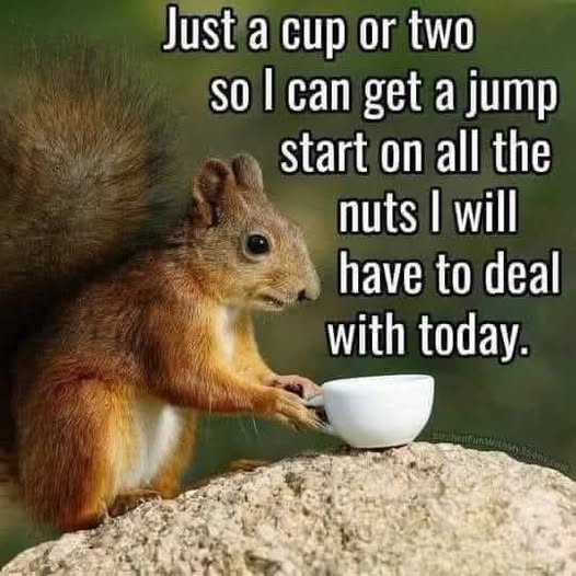jayrandy45's tweet photo. @Niknakgirl23 https://t.co/2F6BwidvtV