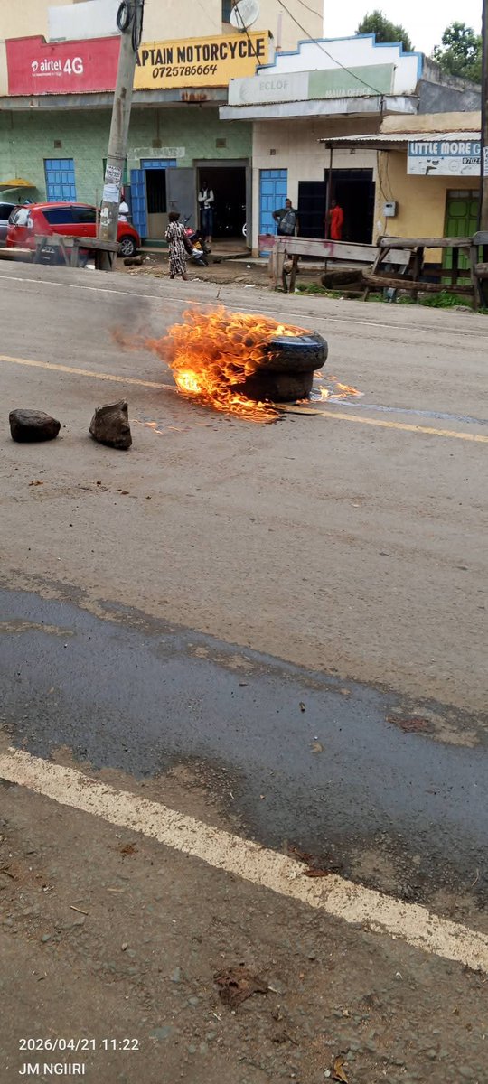 Alex kim tweet media