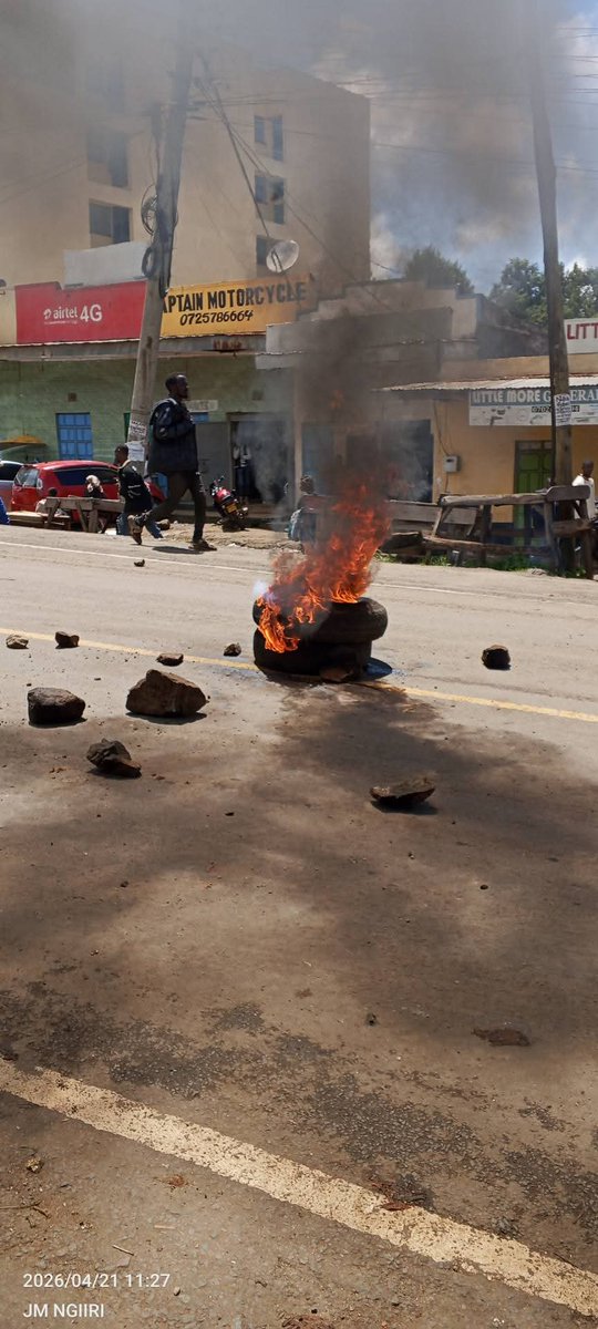 Alex kim tweet media