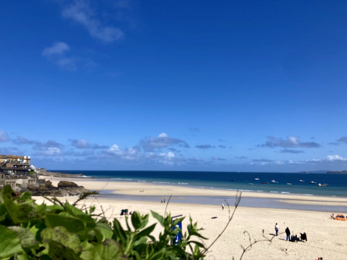 Tanya 🌊☀️🦮👣 〓〓 tweet media