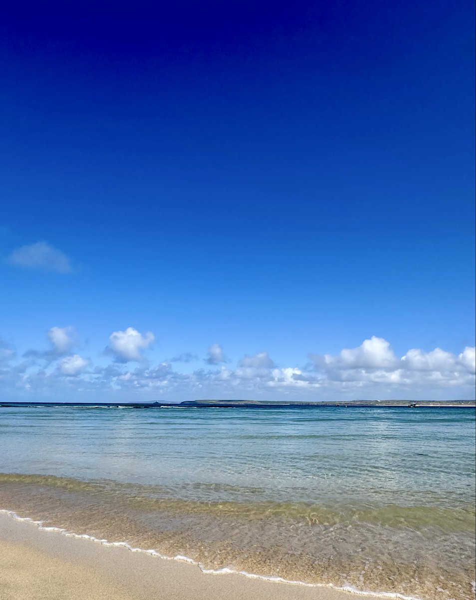 Tanya 🌊☀️🦮👣 〓〓 tweet media