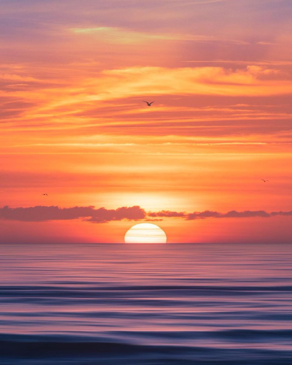 Nature Focus tweet media