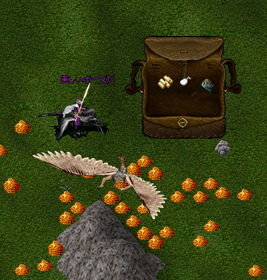 Suiren（IO）@hkt tweet media