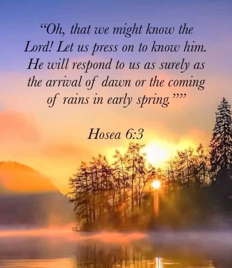 Angelmom337 tweet media