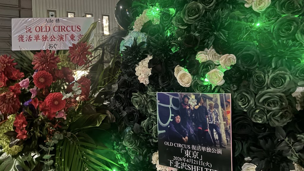 Aile（エル） tweet media