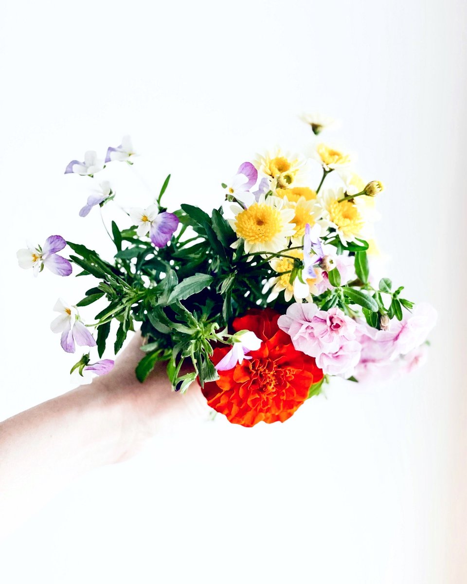 oto me iro. ⋆⑅ tweet media