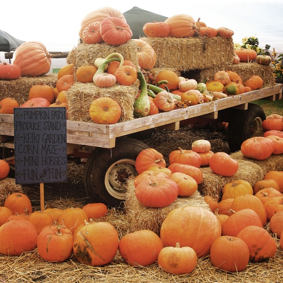 CozyAutumnVibez's tweet image. #fall #autumn #halloween