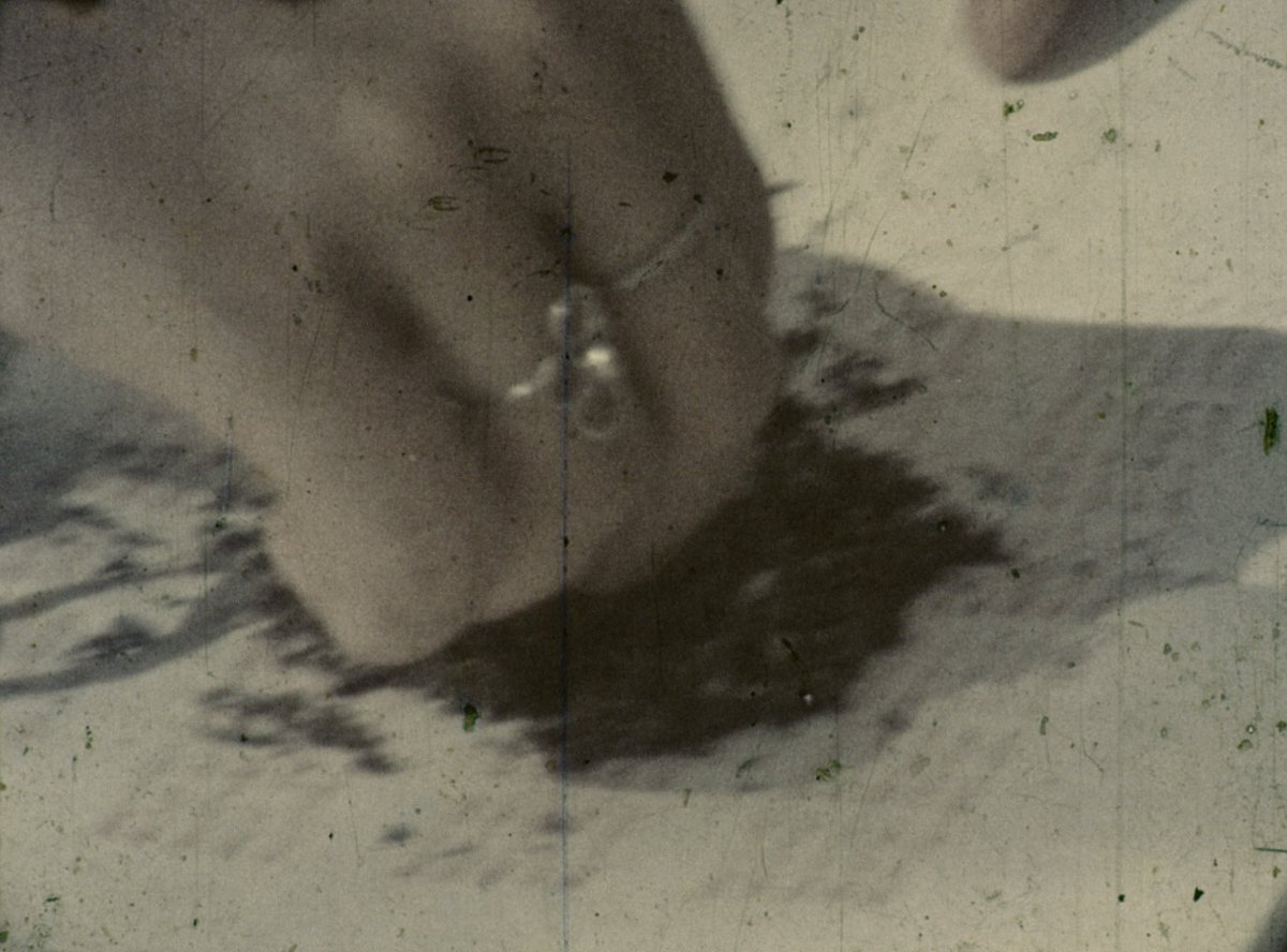 Cinelimite tweet media